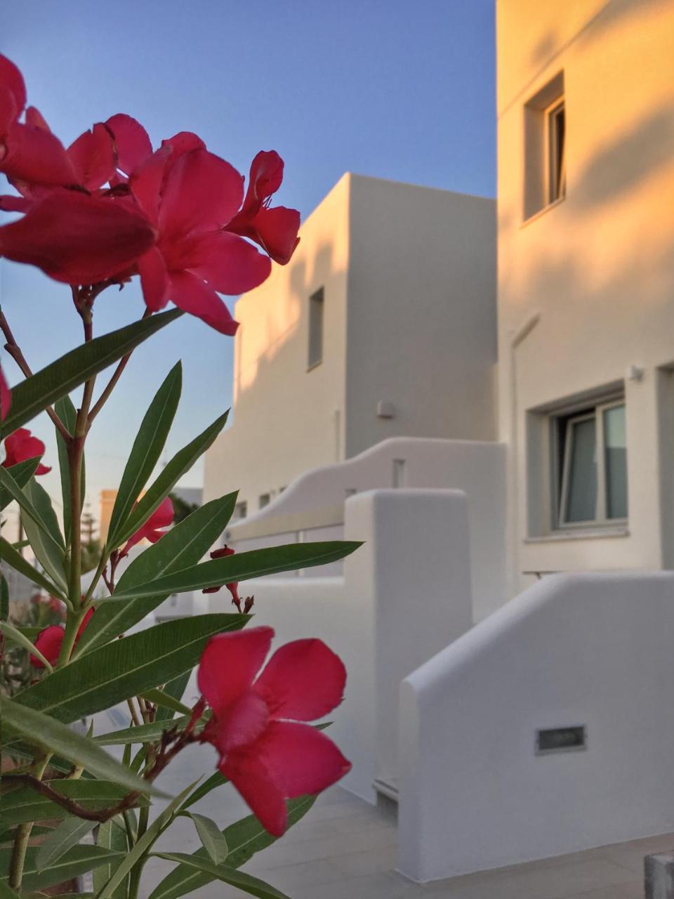 Quartano Luxury Cycladic Residence, Adults Only Naousa  Luaran gambar